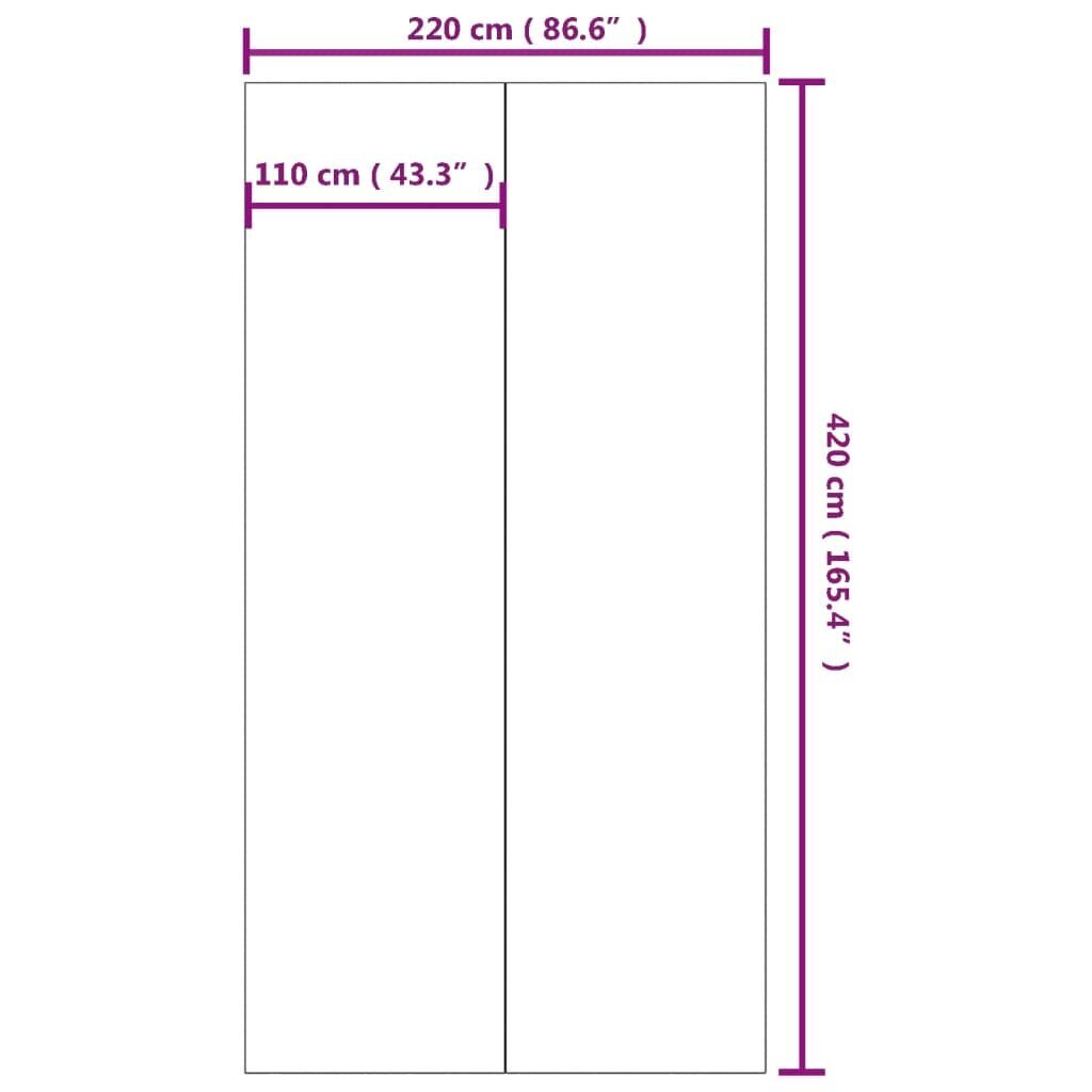 Baseino paklotas VidaXL, 420x220cm kaina ir informacija | Baseinų priedai | pigu.lt