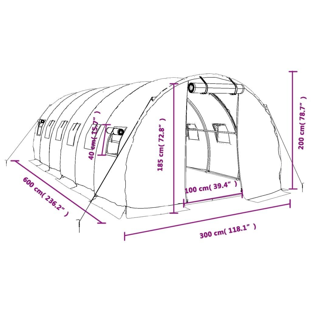 Šiltnamis su plieno rėmu vidaXL, 6x3x2m, 18m² kaina ir informacija | Šiltnamiai | pigu.lt