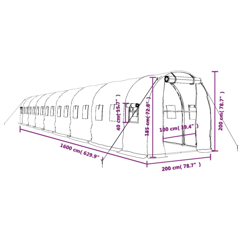 Šiltnamis su plieno rėmu vidaXL, 16x2x2m, 32m² kaina ir informacija | Šiltnamiai | pigu.lt