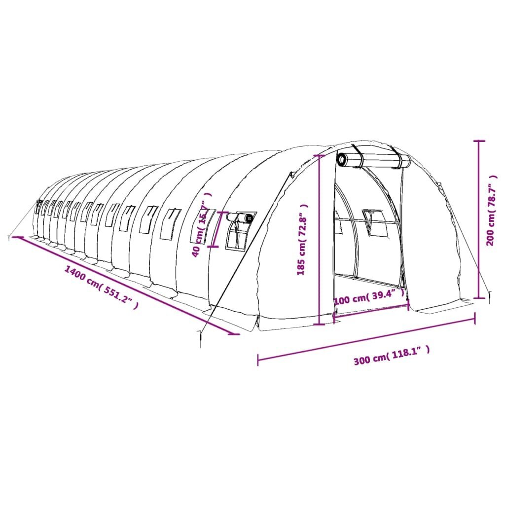 Šiltnamis su plieno rėmu vidaXL, 14x3x2m, 42m² kaina ir informacija | Šiltnamiai | pigu.lt