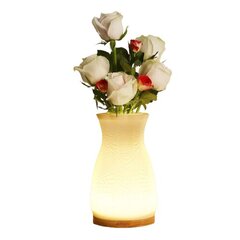 Светящаяся ваза для цветов Floral Lights, 20 см, белая цена и информация | Вазы | pigu.lt