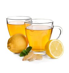 Dolce Vita arbatos kapsulės Zenzero & Limone, 10 vnt. цена и информация | Чай | pigu.lt