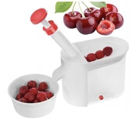 Vyšnių kauliukų išėmėjas kaina ir informacija | Virtuvės įrankiai | pigu.lt