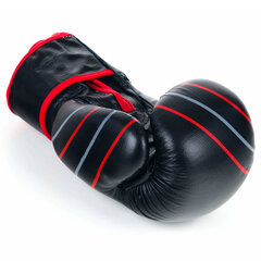 Боксерские перчатки Ring Profi (RR-10) 12 oz, черные цена и информация | Боевые искусства | pigu.lt