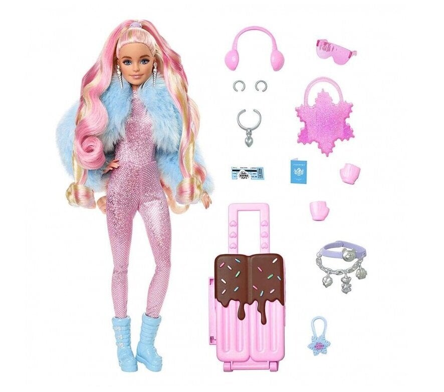 Lėlė Barbie Extra Fly Snow kaina ir informacija | Žaislai mergaitėms | pigu.lt