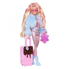 Lėlė Barbie Extra Fly Snow kaina ir informacija | Barbie Vaikams ir kūdikiams | pigu.lt