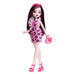 Lėlė Monster High kaina ir informacija | Monster High Vaikams ir kūdikiams | pigu.lt