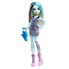 Кукла Monster High kaina ir informacija | Игрушки для девочек | pigu.lt