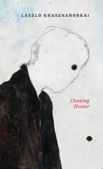 Chasing Homer цена и информация | Исторические книги | pigu.lt