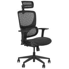 Biuro kėdė ErgoNew S1, juoda kaina ir informacija | Biuro kėdės | pigu.lt
