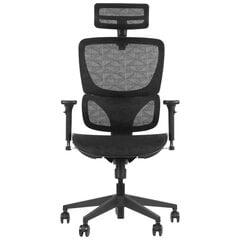 Офисное кресло ErgopNew S1, черное цена и информация | Офисные кресла | pigu.lt