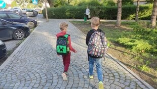 Школьный рюкзак для мальчиков, Minecraft, 36 см цена и информация | Школьные рюкзаки, спортивные сумки | pigu.lt