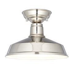 Endon потолочная лампа Darton 96181 цена и информация | Потолочные светильники | pigu.lt