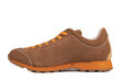 Sportiniai batai vyrams Alpinus GR43610, smėlio spalvos kaina ir informacija | Kedai vyrams | pigu.lt