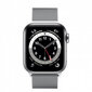 Prekė su pažeidimu. Išmanusis laikrodis Apple Watch Series 6 (GPS + Cellular LT, 40mm) Silver Stainless Steel Case with Silver Milanese Loop kaina ir informacija | Prekės su pažeidimu | pigu.lt