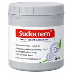 Kūno kremas kūdikiams Sudocrem Expert, 400 g kaina ir informacija | Kosmetika vaikams ir mamoms | pigu.lt