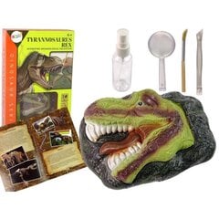 Edukacinis rinkinys Fosilija Dinozauras Tyrannosaurus Lean Toys цена и информация | Игрушки для мальчиков | pigu.lt