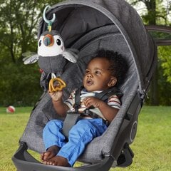 Висящая музыкальная птица Тукан Fisher Price цена и информация | Игрушки для малышей | pigu.lt