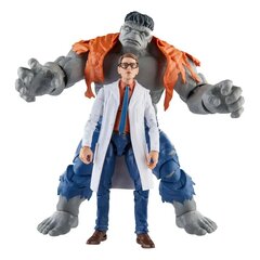 Figūrėlių rinkinys Marvel Avengers Legends Gray Hulk and Dr. Bruce Banner цена и информация | Игрушки для мальчиков | pigu.lt