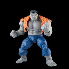 Figūrėlių rinkinys Marvel Avengers Legends Gray Hulk and Dr. Bruce Banner цена и информация | Игрушки для мальчиков | pigu.lt