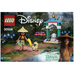 30558 LEGO® Disney Princess Raya ir paskutinis drakonas kaina ir informacija | Konstruktoriai ir kaladėlės | pigu.lt