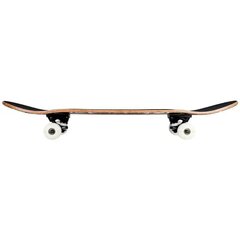 Riedlentė Tony Hawk, 78cm kaina ir informacija | Riedlentės | pigu.lt