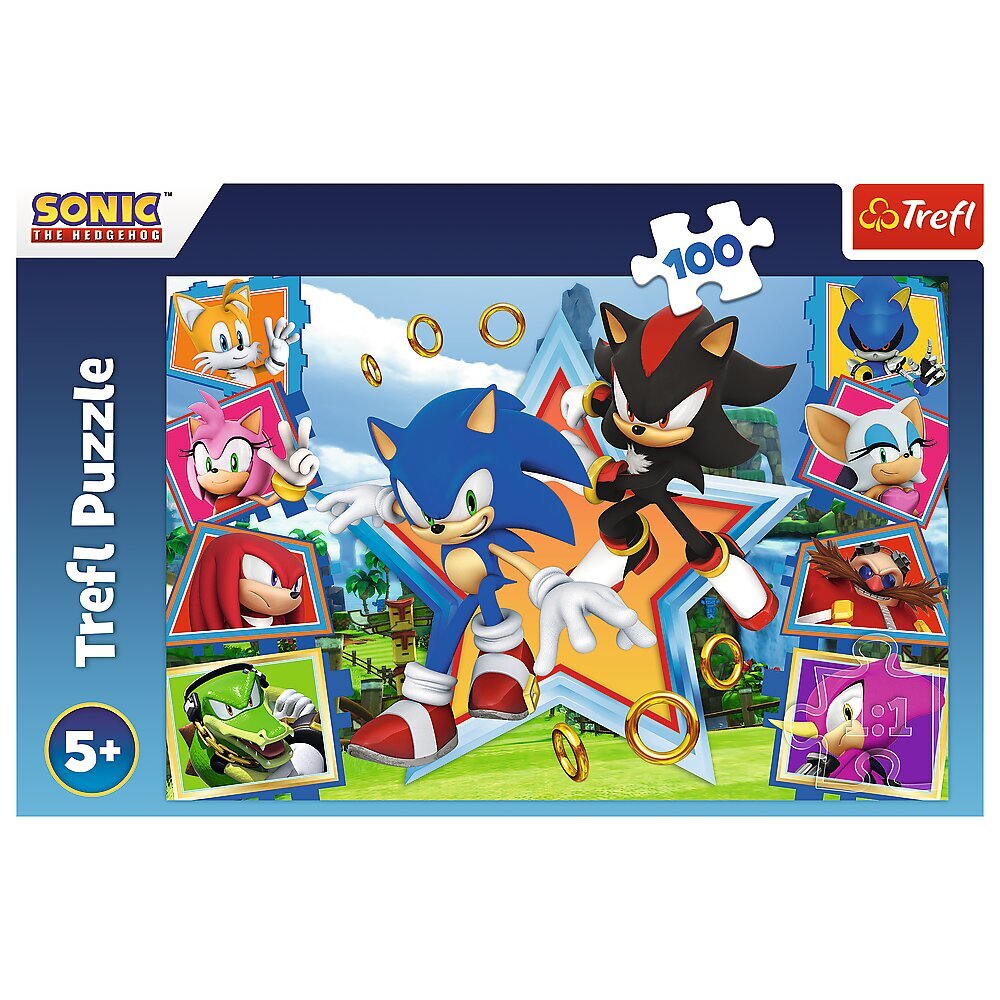 Dėlionė Trefl Sonic, 100 det. kaina ir informacija | Dėlionės (puzzle) | pigu.lt