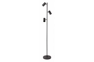Floor lamp Veneto, IP20, max. 20W, 3 x GU10, black kaina ir informacija | Toršerai | pigu.lt