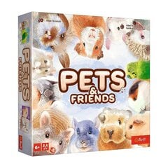 Описание
Домашние животные и друзья
В игре Pets & Friends игроки пытаются найти символы на плитках лицом вниз, необходимые для получения карточек с домашними животными. Собранные питомцы дают игрокам как очки в конце игры, так и специальные способности, помогающие заработать больше питомцев.
Номер детали
02443
Тип: Семейное и социальное
Минимум Количество игроков 2
Макс. Количество игроков 4
База версий
Языковая версия: английский
Минимальный возраст 6 лет
Пол Мальчики
Пол Девочки
Продукт с батарейным питанием нет
Батареи в комплекте
Питание Не применимо
Другие функции
Размеры упаковки: 24,5 х 24,5 х 5,3 см цена и информация | Настольные игры, головоломки | pigu.lt