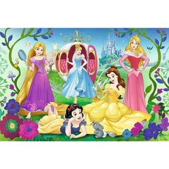 Dėlionė Happy Disney Princess Trefl, 70 d. kaina ir informacija | Dėlionės (puzzle) | pigu.lt