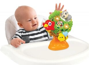 Interaktyvus žaislas Winfun Džiunglių draugai kaina ir informacija | Žaislai kūdikiams | pigu.lt
