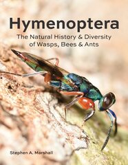 Hymenoptera: The Natural History and Diversity of Wasps, Bees and Ants цена и информация | Книги о питании и здоровом образе жизни | pigu.lt