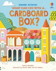 What Can I Do With a Cardboard Box? цена и информация | Книги для подростков и молодежи | pigu.lt