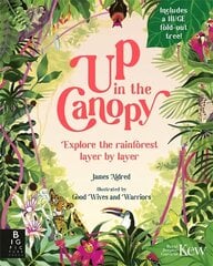 Up in the Canopy: Explore the Rainforest, Layer by Layer цена и информация | Книги для подростков и молодежи | pigu.lt