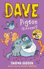 Dave Pigeon (Kittens!) Main kaina ir informacija | Knygos paaugliams ir jaunimui | pigu.lt