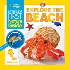 Explore the Beach цена и информация | Книги для подростков  | pigu.lt