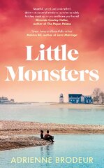 Little Monsters: Perfect For Fans Of Fleishman Is In Trouble And The Paper Palace kaina ir informacija | Fantastinės, mistinės knygos | pigu.lt