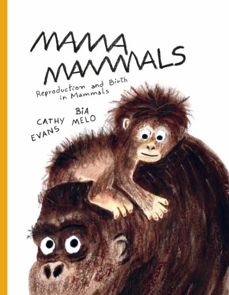 Mama Mammals: Reproduction and Birth in Mammals kaina ir informacija | Knygos paaugliams ir jaunimui | pigu.lt