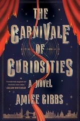 Carnivale of Curiosities цена и информация | Fantastinės, mistinės knygos | pigu.lt