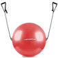 Gimnastikos kamuolys su rankenomis inSPORTline 55 cm, kaina ir informacija | Gimnastikos kamuoliai | pigu.lt