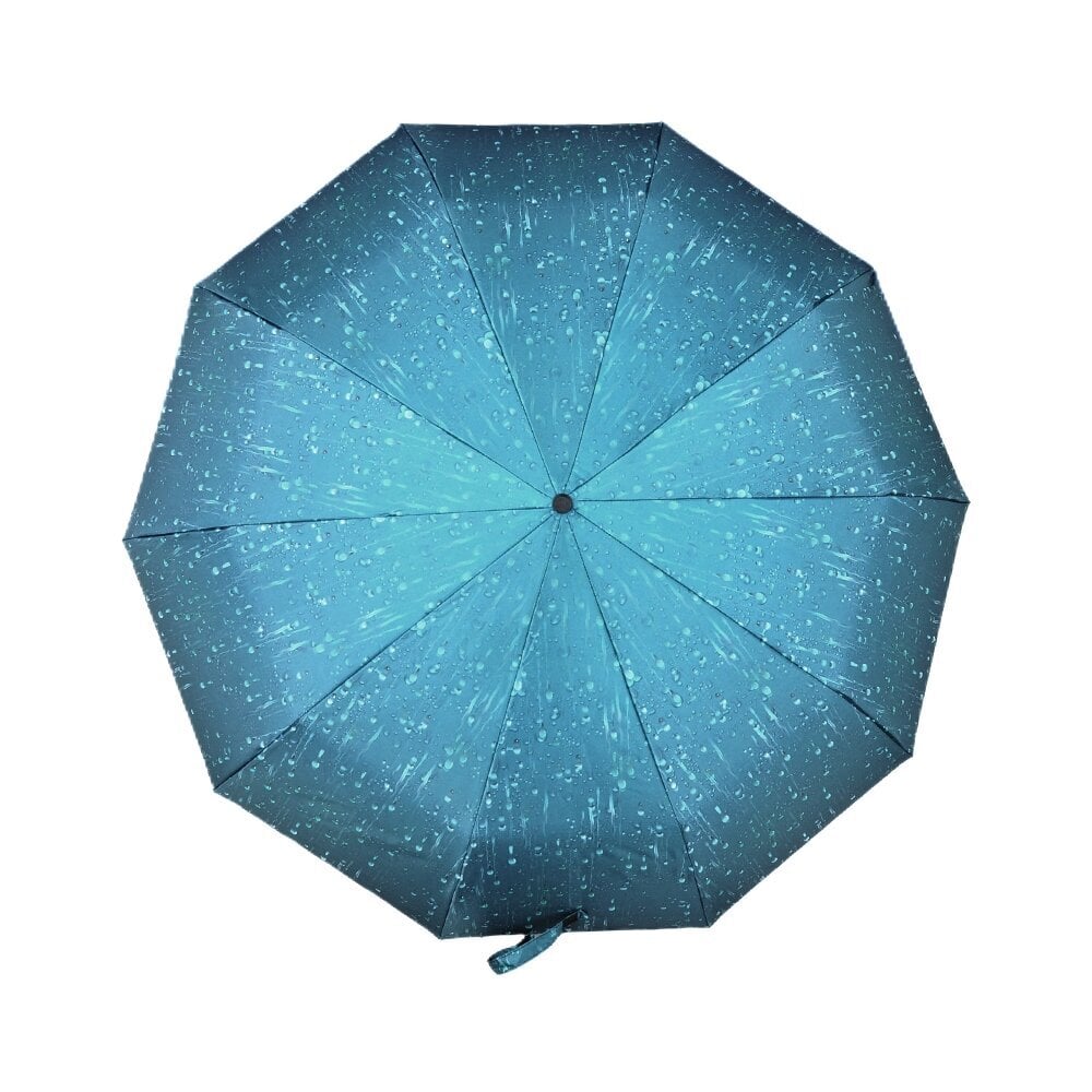 Automatinis skėtis moterims цена и информация | Moteriški skėčiai | pigu.lt