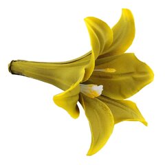 Dirbtinė gėlė lelijos žiedas, 5 vnt. kaina ir informacija | Dirbtinės gėlės | pigu.lt