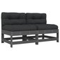 2-ių dalių vidurinių sofos dalių su pagalvėlėmis komplektas vidaXL, pilkas цена и информация | Lauko kėdės, foteliai, pufai | pigu.lt