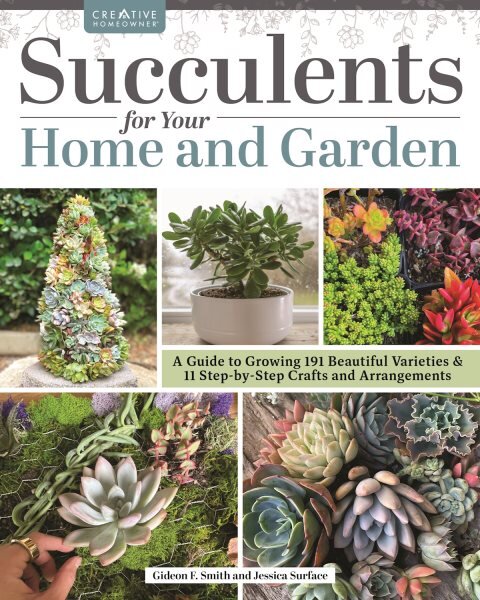 Succulents for Your Home and Garden: A Guide to Growing 191 Beautiful Varieties & 11 Step-by-Step Crafts and Arrangements цена и информация | Knygos apie sodininkystę | pigu.lt