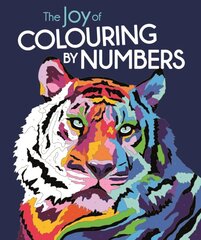 Joy of Colouring by Numbers цена и информация | Книги о питании и здоровом образе жизни | pigu.lt