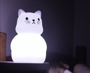 Разноцветный светодиодный ночник - Серъёзный кот цена и информация | Детские светильники | pigu.lt