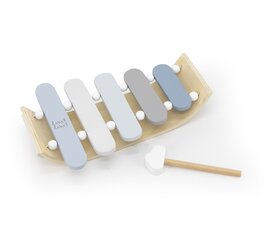 Muzikinis instrumentas vaikams - Ksilofonas, Label Label LLWT-25477 kaina ir informacija | Žaislai kūdikiams | pigu.lt