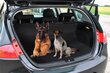 Apsauginis automobilio kilimėlis šunims Pets Corner, 144x144 cm цена и информация | Kelioniniai reikmenys | pigu.lt