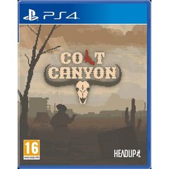 Colt Canyon PS4 игра цена и информация | Компьютерные игры | pigu.lt