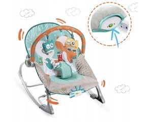 Детская кроватка - качели с вибрацией RicoKids 0-9 kg цена и информация | Шезлонги и качели | pigu.lt